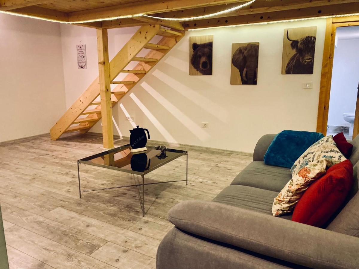 Central Cluj Loft Lägenhet Exteriör bild
