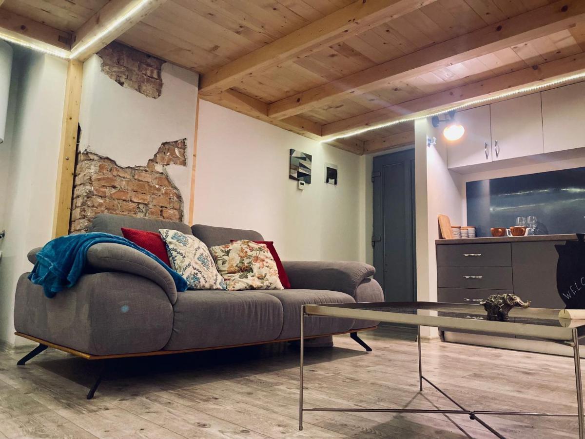 Central Cluj Loft Lägenhet Exteriör bild